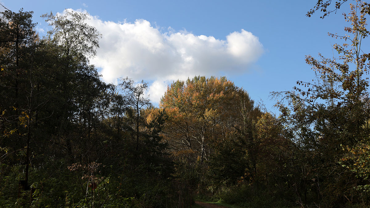 Oosterpark-Ridderkerk